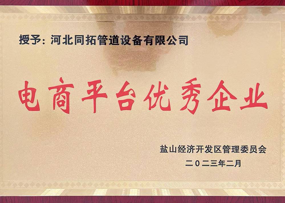 電商平（píng）台優秀企業